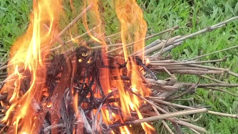 Bonfire in the Middle of a Paddy Field | Warmth, Calm & Rural