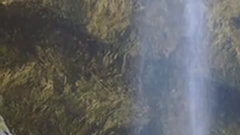 Daily Horoscope | Cancer 🌟