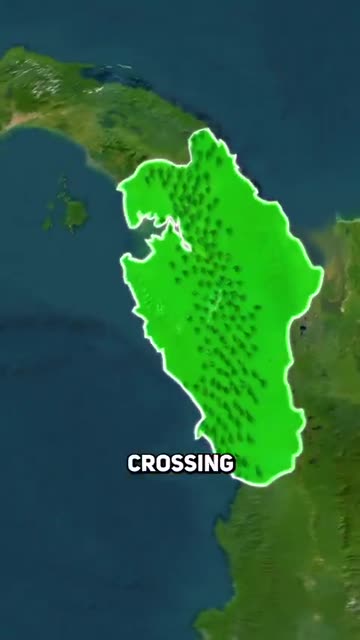 President Trump's possible chess moves