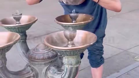 Portland - Most tourists have no idea what they’re putting their mouths on.