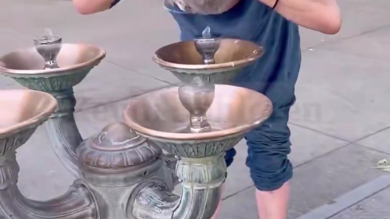 Portland - Most tourists have no idea what they’re putting their mouths on.