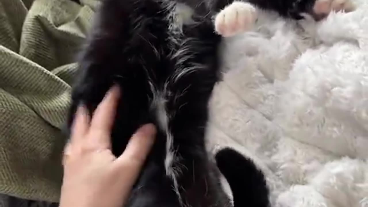 Nothing like pink beans in the morning!♥️