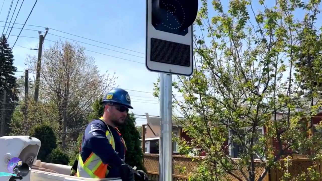 RACCOON CITY: Le paradis des poubelles