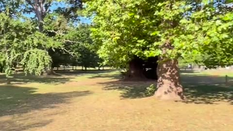 🌳😊 Enjoying Nature at Its Finest | FunFM