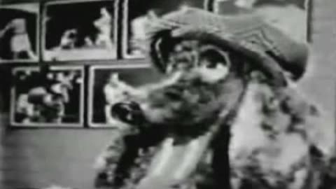 Commercial - Nestle's Quik w Jimmy Nelson & Farfel the Dog