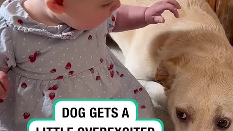 Cutest funny video