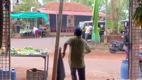 funny video