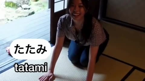 Inside a Traditional Japanese Home 🏯✨