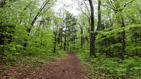 Take a Hike