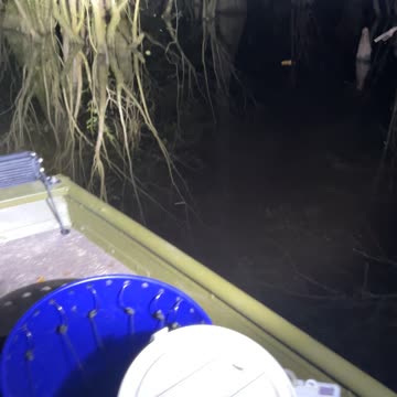 Creek Creeping for Catfish