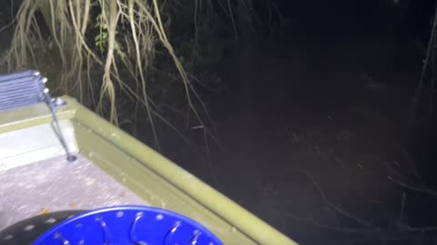 Creek Creeping for Catfish