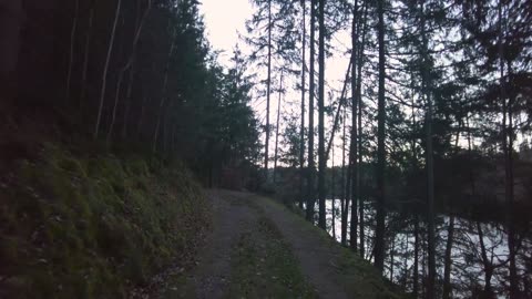 Evening Walk At The Dam | Tranquil Outdoor Walk