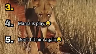 Top 5 Best Animal Completion of all time #funnyanimal