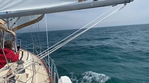 Sailing Through Grays Reef Passage on Lake Michigan in June, ‘25 #sailing #greatlakes #lakemichigan