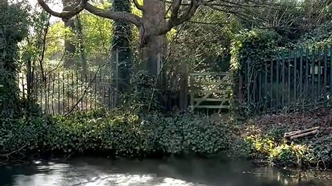 The world's strongest neodymium magnet