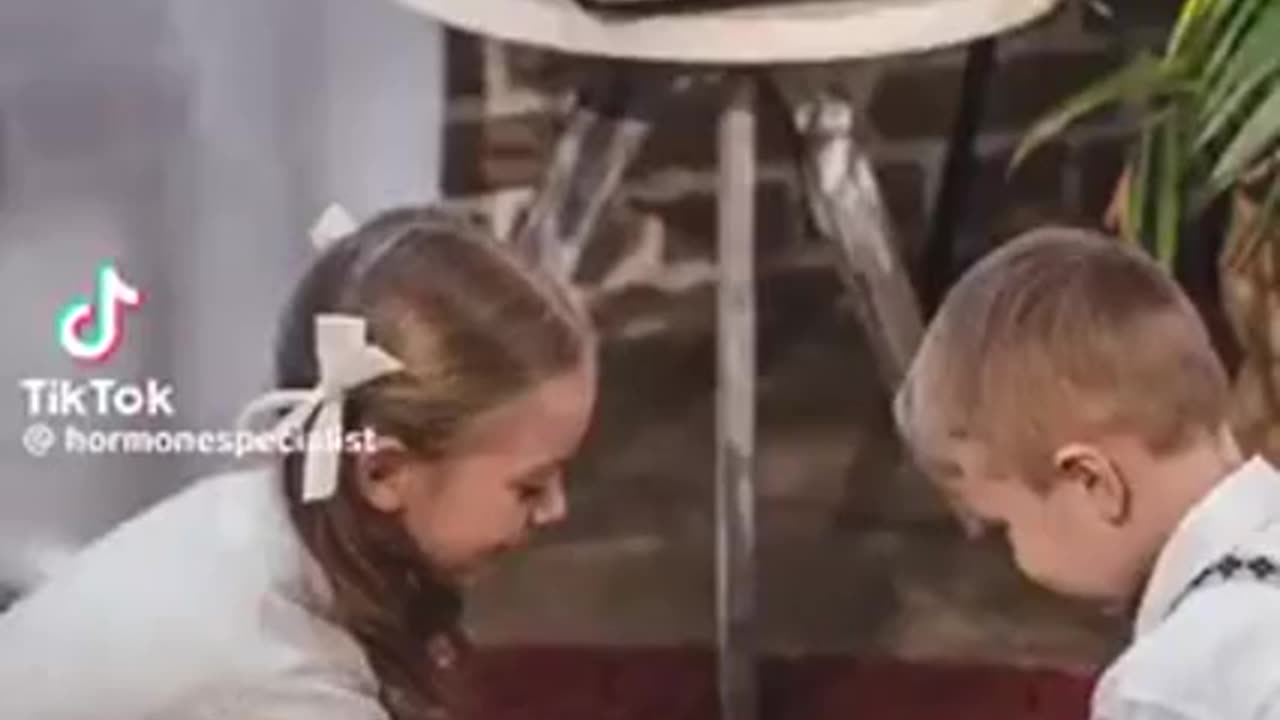 EGGS DIDN'T MAKE US SICK ⚕ CEREALS DID