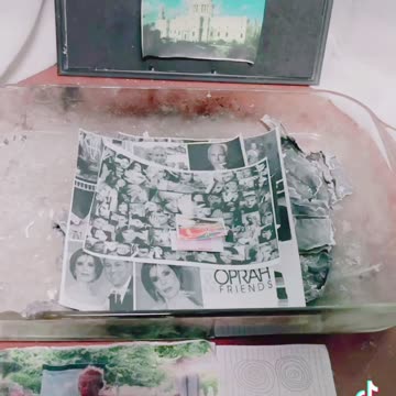 Tim Rifat TikTok Videos