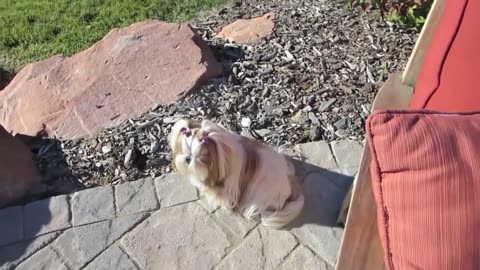 Toodle-loo! (Vlogtober October 6, 2013)