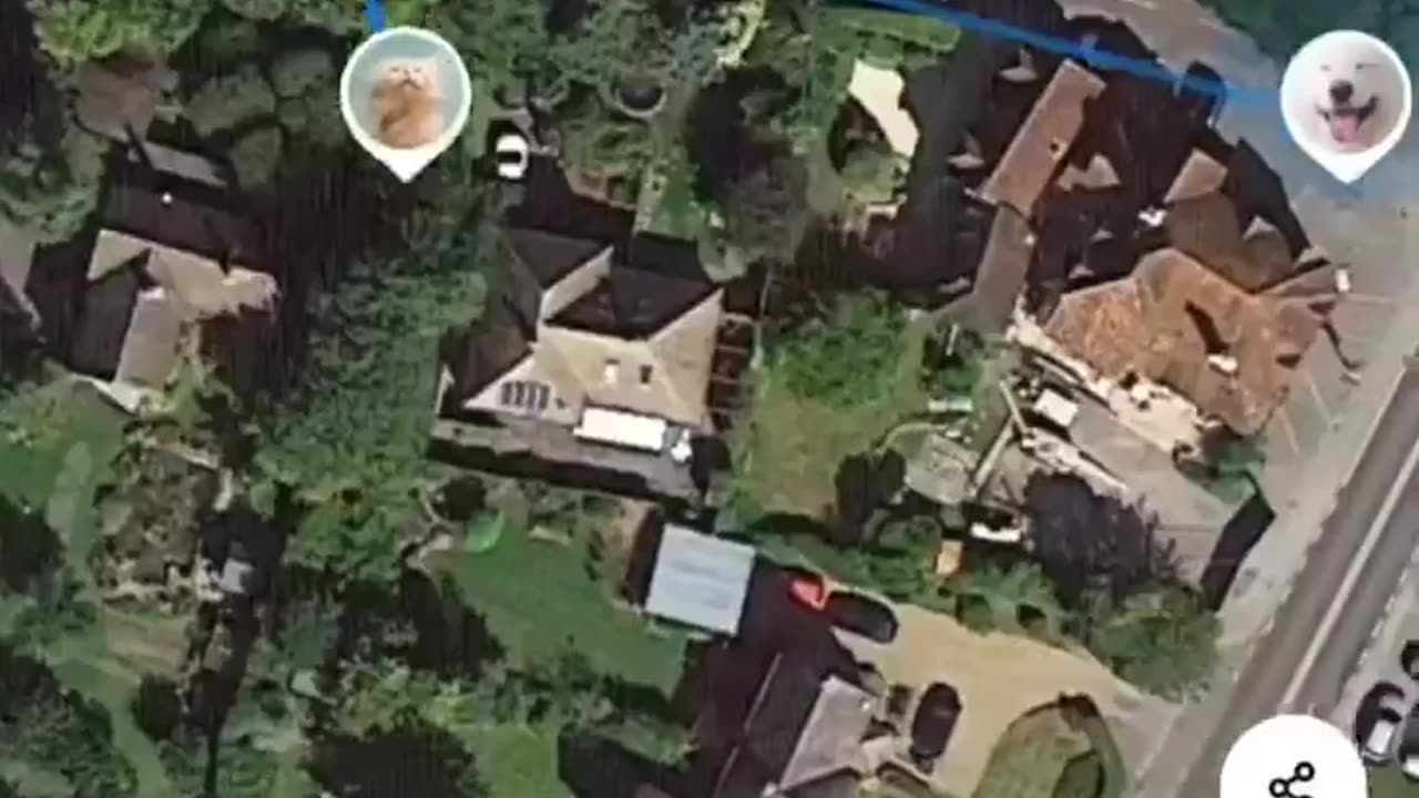A man installed a GPS tracker on his cat to track its route while he was walking his dog.