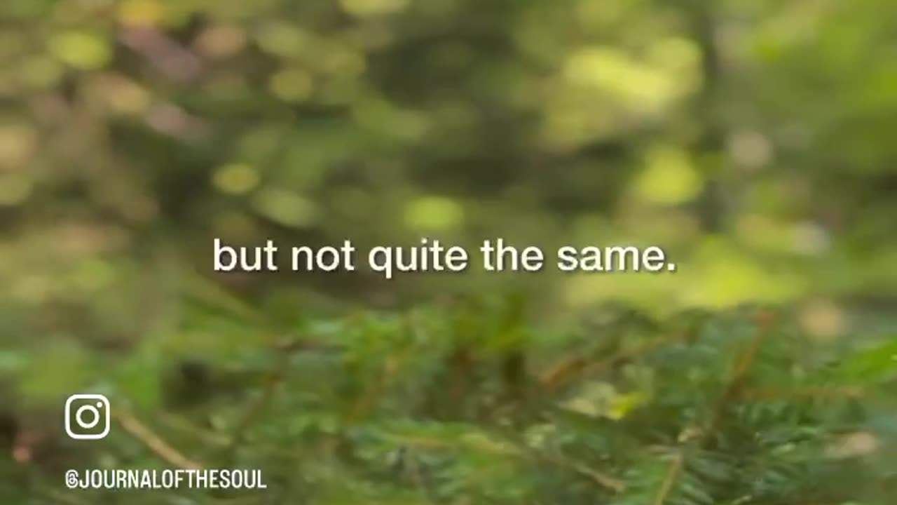 Being at Peace is Beautiful!