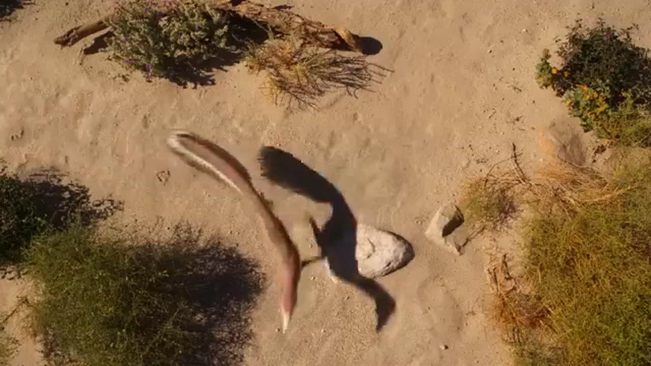 Old Earth & Environment