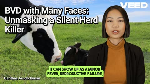 Unmasking Bovine Viral Diarrhea(BVD):The Silent Dairy Herd Killer