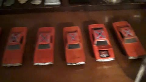 General Lee Picnic