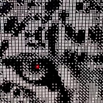 portrait of a Jaguar made using dice only.