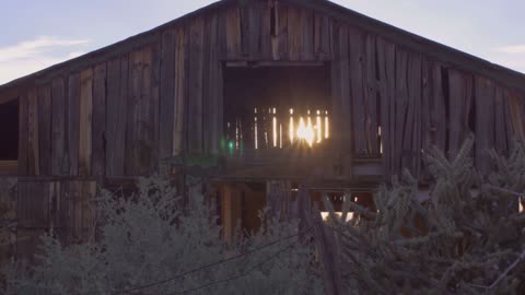 人類最初の“家”はここだ！ニース発掘の衝撃