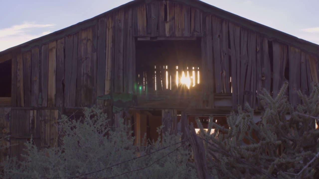 人類最初の“家”はここだ！ニース発掘の衝撃