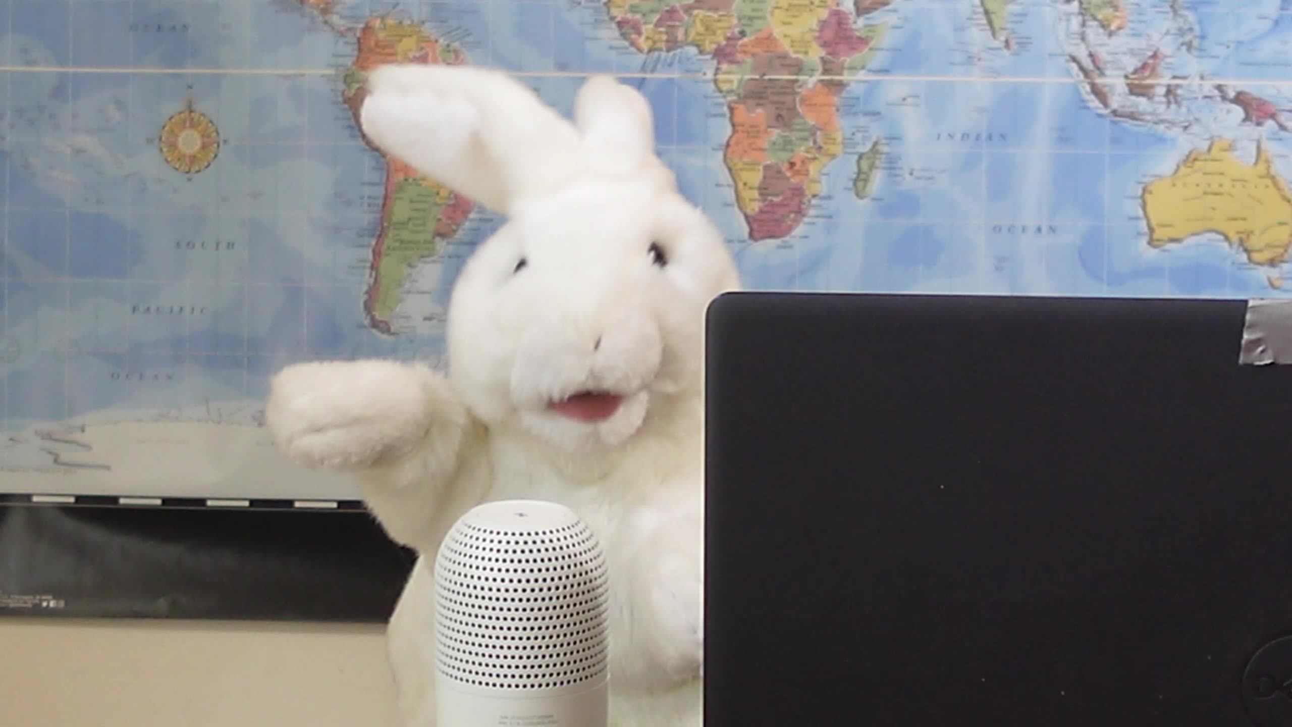 Public Apology from CGPA Puppet News