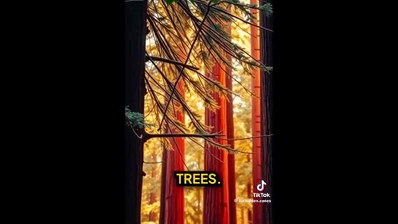 Bohemian Grove and underground bases ..