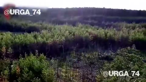 🚁🔍 Russia Ukraine War | FPV Drone Footage Reveals Fiber Optic Cables in Luhansk Forest | RCF