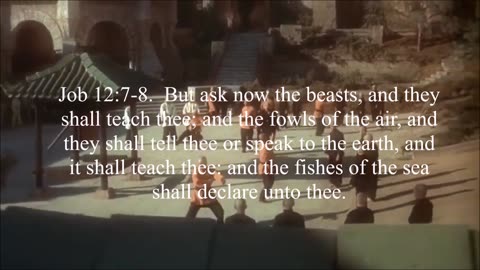 The animals will teach us.