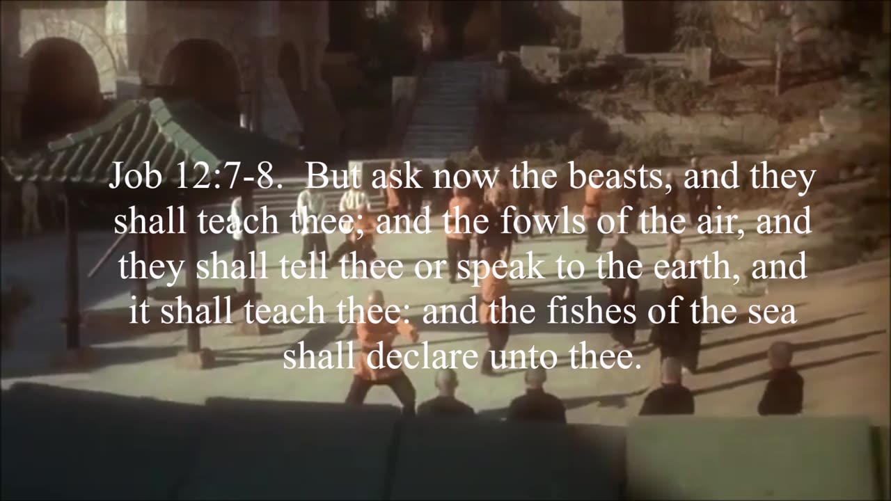 The animals will teach us.