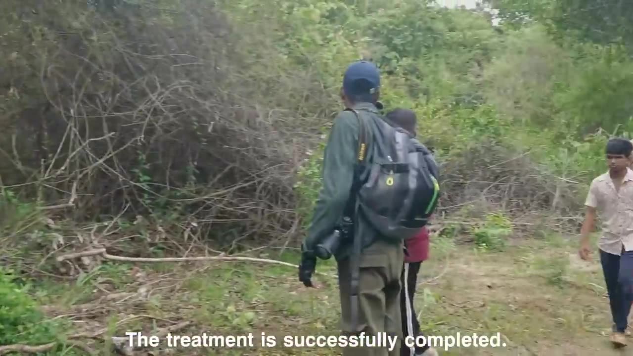Special Tusker treatment operation