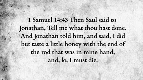 Martus Ministrt -345- Not one hair harmed