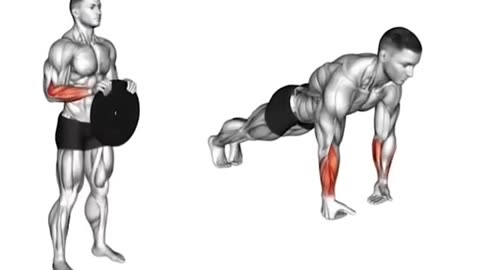 6 Insane Chest Workout to Build a Bigger Chest Fast chestworkout