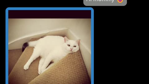 Forced catfishing #4952