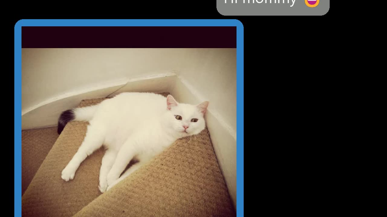 Forced catfishing #4952