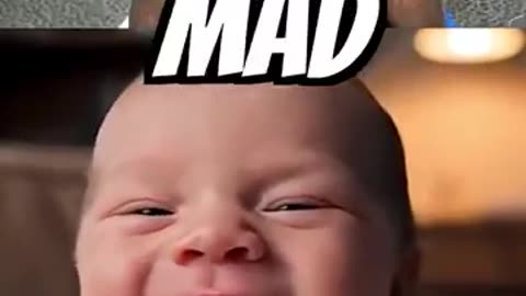 Try Not to Laugh Challenge 1