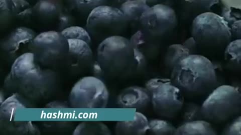Garmi me Blueberry khane ke fayde
