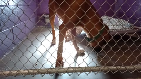 VID_20250509_171839460
