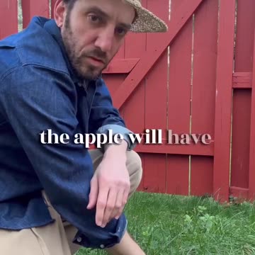 I just wanted a snack