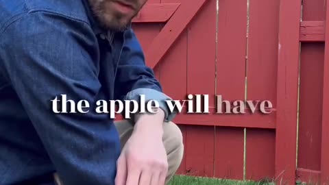 I just wanted a snack