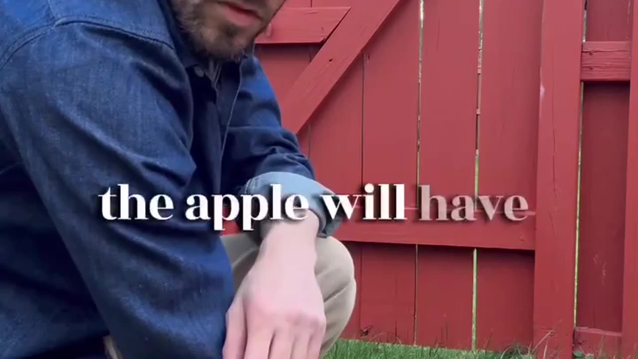 I just wanted a snack