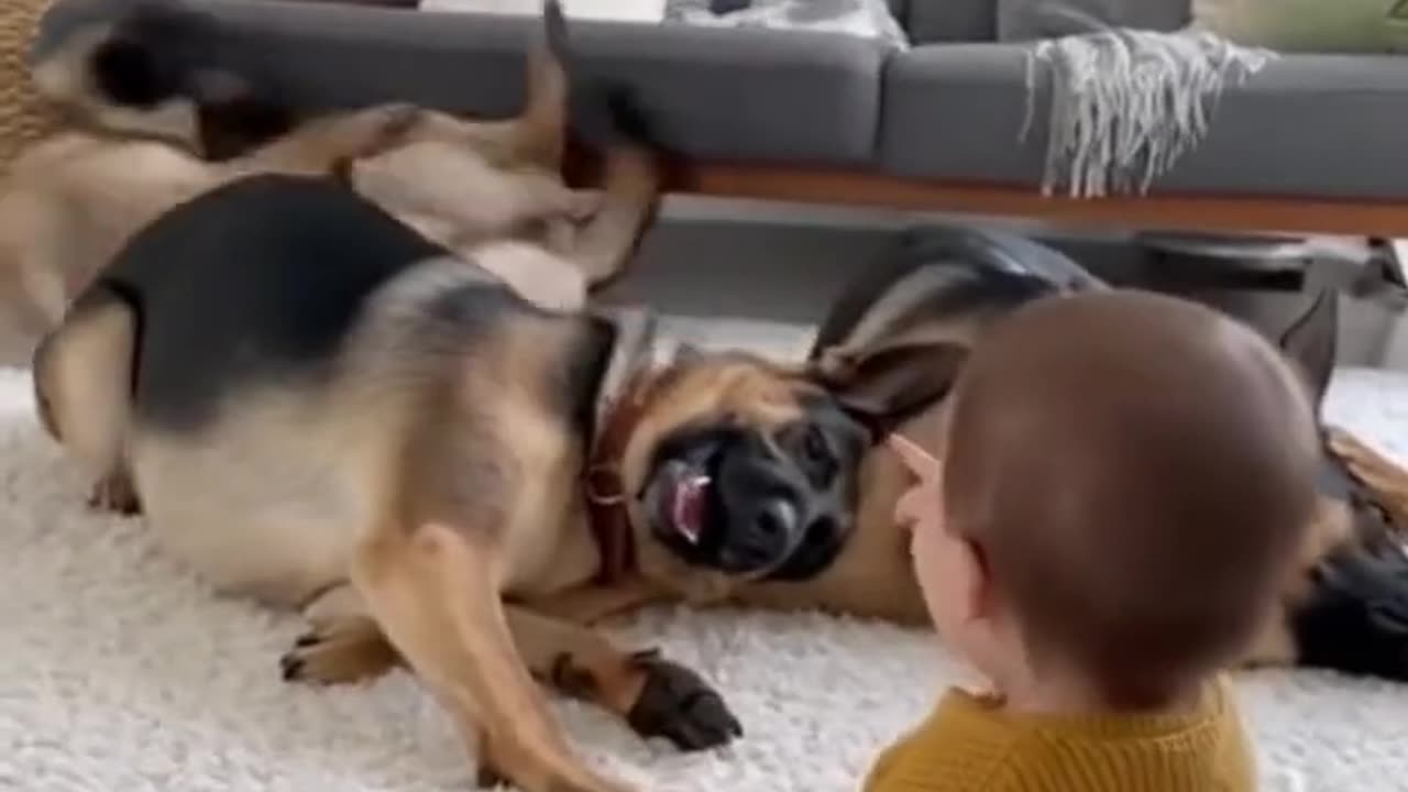 funny video little baby :)