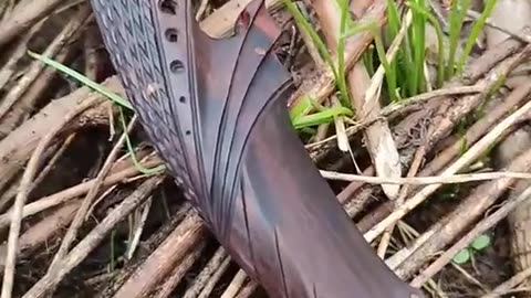 random video