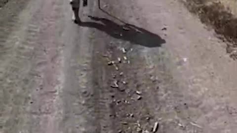 Ukraine war combat footage 8/29/25