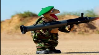 REVENGE OF FRANKLIN THE TURTLE